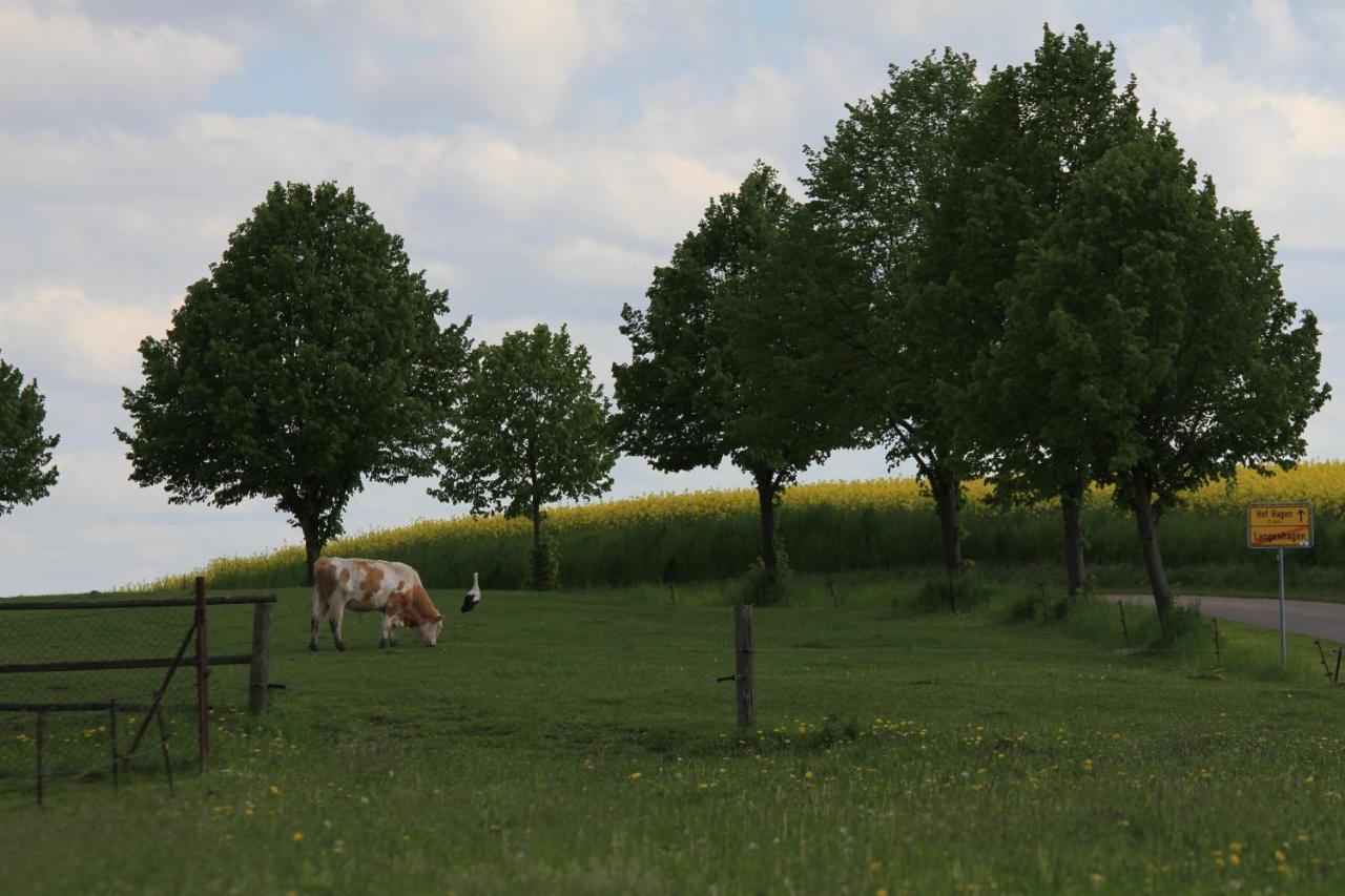 Ferienhaeuser Seeblick * Langenhagen (Ludwigslust-Parchim)